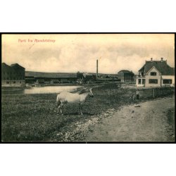 Parti fra Mundelstrup - J. Hansen Eneret - Brugt