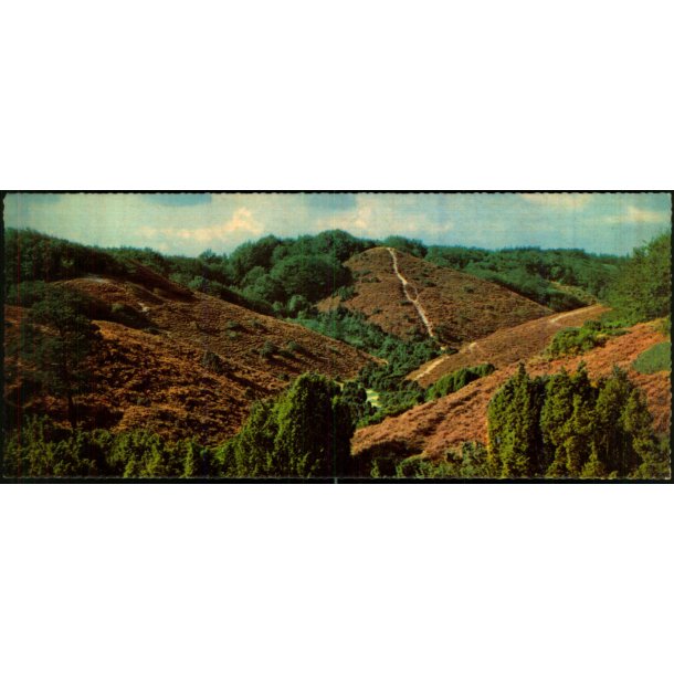 Rebild Nationalpark - Gryden  - Eneret 98262 - Ubrugt