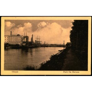 Odense - Parti fra  Havnen - O. Nielsen u/n - Brugt