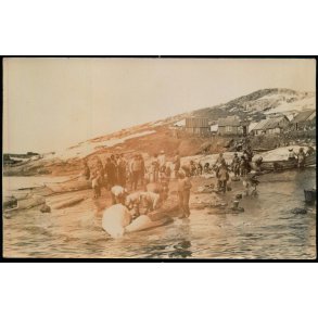 Grnland - Hvalfangst -  Fotokort u/n - Ubrugt