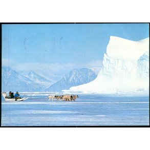 Qimusseq - Hundeslde - KGH 231 - Brugt