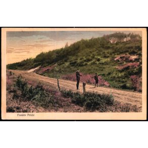 Fr�slev Polde - Petersen & Knudsen 9171 - Ubrugt