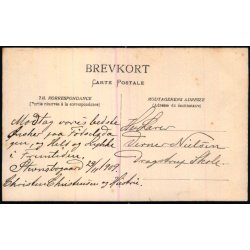 Firh�j - Fotokort u/n - Ubrugt