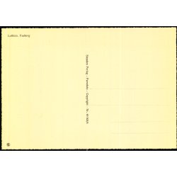 Luftfoto - Faaborg - Stender 49 503/8 - Ubrugt