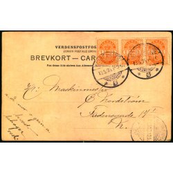 Brnehjlpsdagen 1905 - Fra Brnenes Kontors Teltlejr ved Jonstrup 1904 - u/n - Brugt 