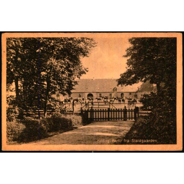 Kolding - Parti fra Staldgaarden - Stender 43637 - Ubrugt