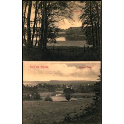 Parti fra Egtved - M. Lauritsens Bogh. 29913  - Ubrugt