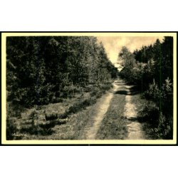 Asserbo - Rudolf Olsen 10243 - Ubrugt