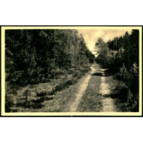 Asserbo - Rudolf Olsen 10243 - Ubrugt