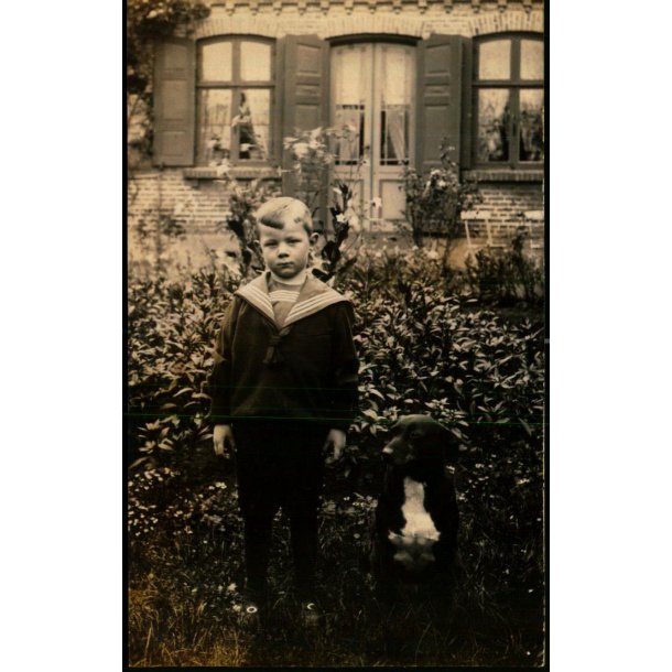 Firh�j - Fotokort u/n - Ubrugt