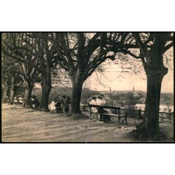 Kbenhavn - Paa Frederiksberg Bakke - Stender 523 - Brugt