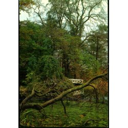 Dammen ved Rungstedlund - Museet u/n - Ubrugt