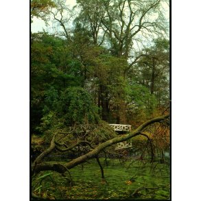 Dammen ved Rungstedlund - Museet u/n - Ubrugt