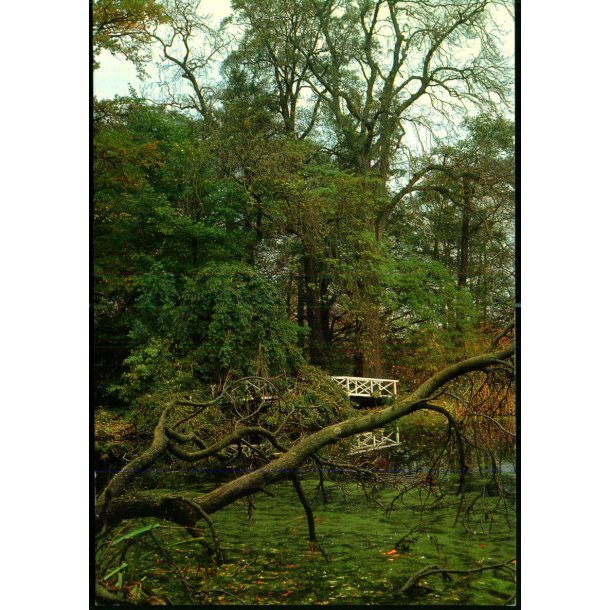 Dammen ved Rungstedlund - Museet u/n - Ubrugt