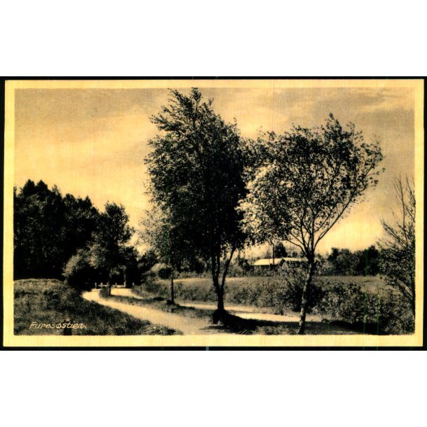 Furesstenen - Rudolf Olsen 10206 - Ubrugt