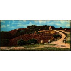 Rebild - Kimberstenen - Stender  6701 - Ubrugt