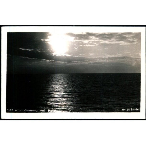 Aftenstemning ved Havet - Hvide Sande - Fotokort 1162 - Ubrugt