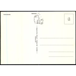 Hvide Sande - Stjerne Foto 1317 - Ubrugt