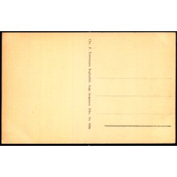 Ribe - Domkirken - C.F. Termansens Bogh. 9306 - Ubrugt