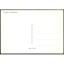 Tisvilde - Tisvildeleje - Luftfoto Sylvest Jensen u/n - Ubrugt