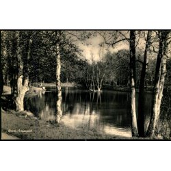 Give - Anl�get - N. Ballegaard 11017  - Brugt