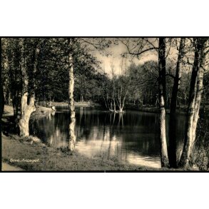 Give - Anl�get - N. Ballegaard 11017  - Brugt