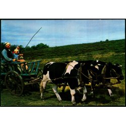 Hjerl Hede - Studek�rsel - Hjerl Fonden 520 - Ubrugt