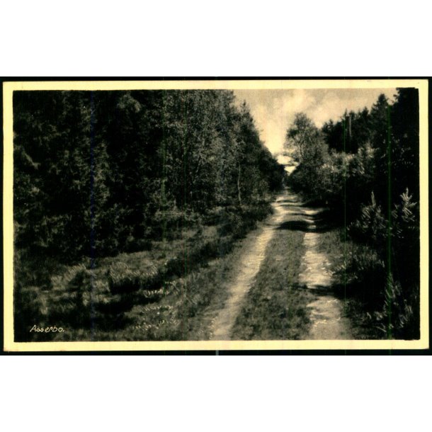 Asserbo - Rudolf Olsen 10243 - Brugt