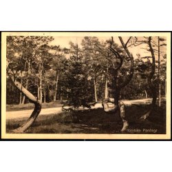 Hornb�k Plantage - J.M. 576 - Brugt