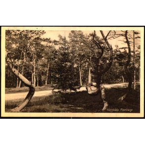 Hornb�k Plantage - J.M. 576 - Brugt