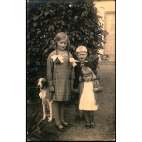 Firh�j - Fotokort u/n - Ubrugt