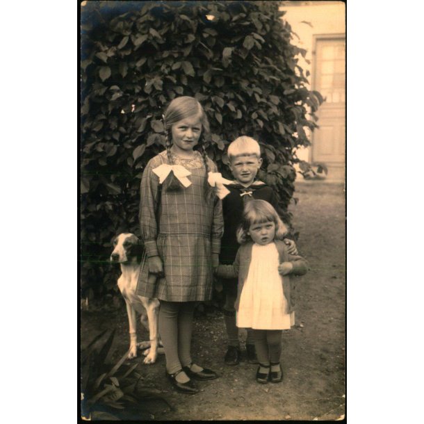 Firh�j - Fotokort u/n - Ubrugt