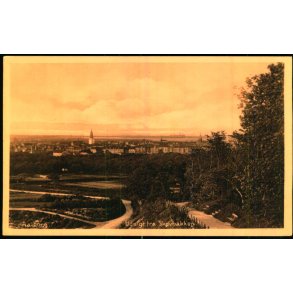 Aalborg - Udsigt fra Skovbakken - Stender 35255 - Ubrugt