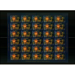 Grnland Julemrkeark 2010 - Selvklbende