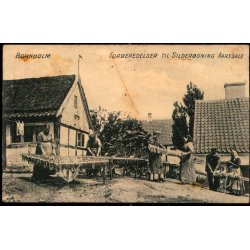 Bornholm - Forberederser til Sildergning Aarsdale - Colbergs Boghandel u/n - Ubrugt