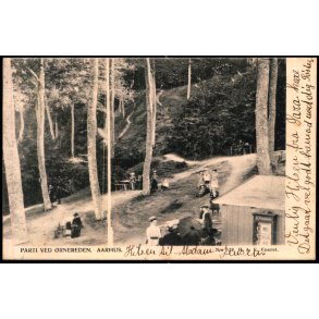 Parti ved �rnereden - Aarhus - H.A.E. 136 - Brugt