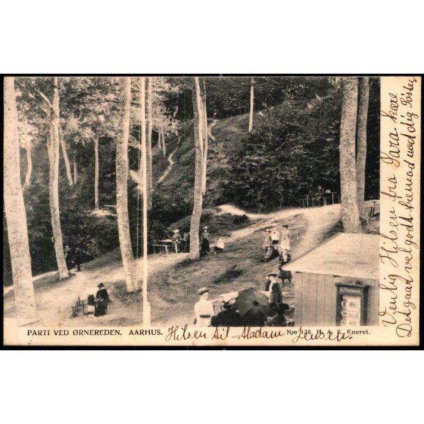 Parti ved �rnereden - Aarhus - H.A.E. 136 - Brugt