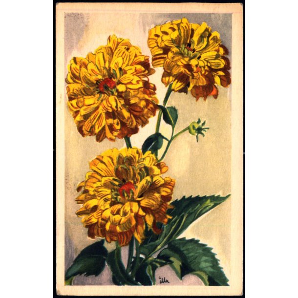 Illa - Stender Serie 1500 - Ubrugt