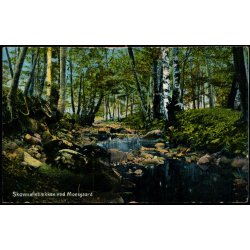 Skovm�lleb�kken ved Moesgaard - Alex Vincent 97 - Brugt