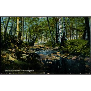 Skovm�lleb�kken ved Moesgaard - Alex Vincent 97 - Brugt