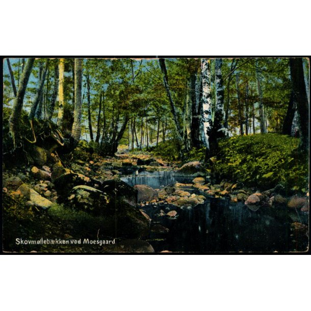 Skovm�lleb�kken ved Moesgaard - Alex Vincent 97 - Brugt