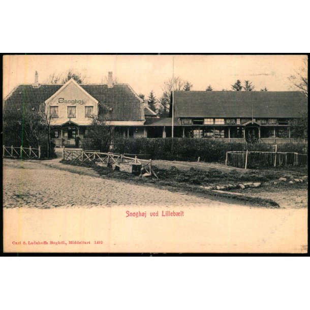 Snogh�j ved Lilleb�lt - Carl S. Ladehoff 1492 - Ubrugt