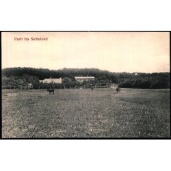 Parti fra Skibelund - P. Hansen u/n - Ubrugt