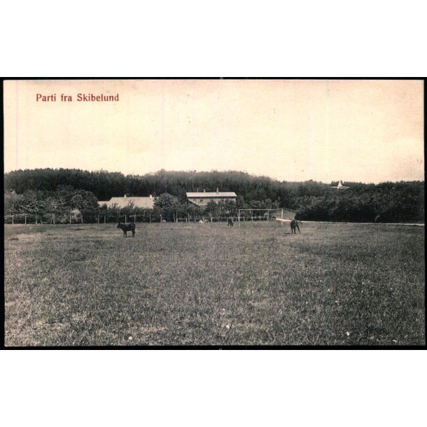 Parti fra Skibelund - P. Hansen u/n - Ubrugt