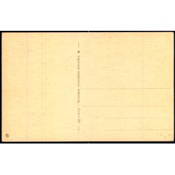 Silkeborg - Remstrup Aa - M. Digmanns Bogh. 325 - Ubrugt