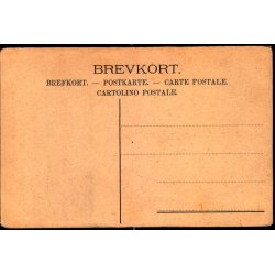 Brnehjlpdagen den 3. Juli 1907 - Herr Dirigent Max Kmpe og Frk. Tulle - u/n