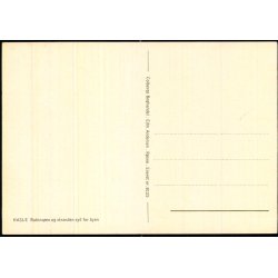 Bornholm - Rubinsen - Colbergs Bogh. 8125 - Ubrugt