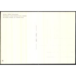 Gryden - Rebild Nationalpark  - Eneret 91509 - Ubrugt