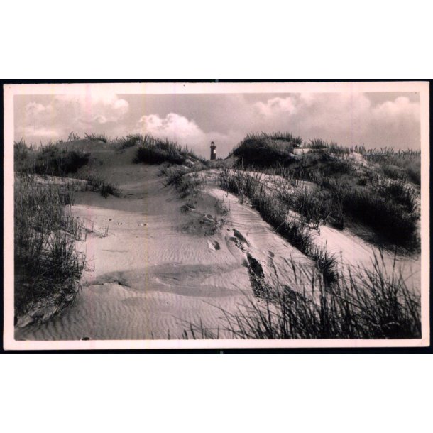 Skagen - Klitparti ved Fyret - Skagen Bogh. 6714 - Brugt