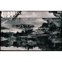 R�m� - Bagsidetryk u/n - Ubrugt